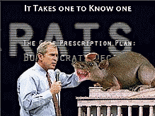 two rats