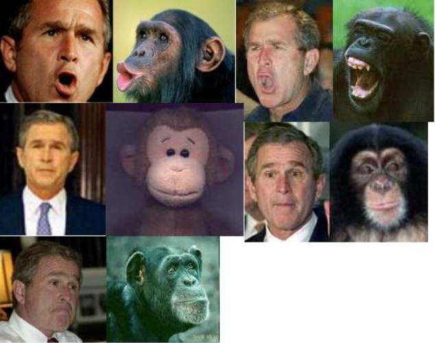 curious george