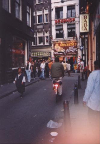 the king lost in amsterdam
